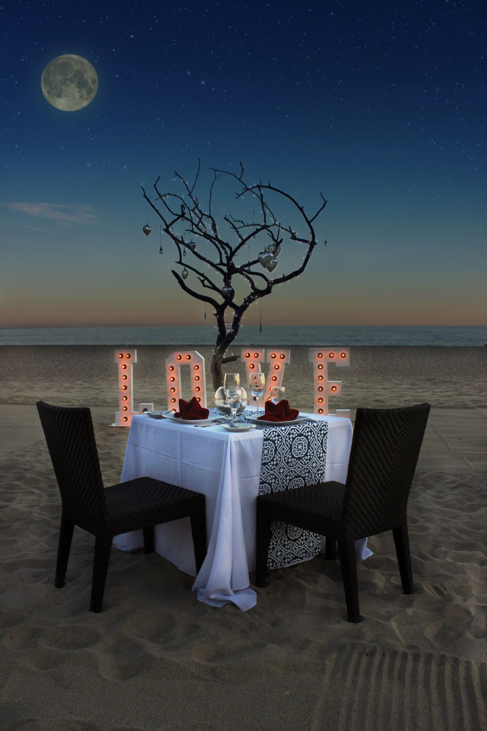 romantic dinner x.jpg