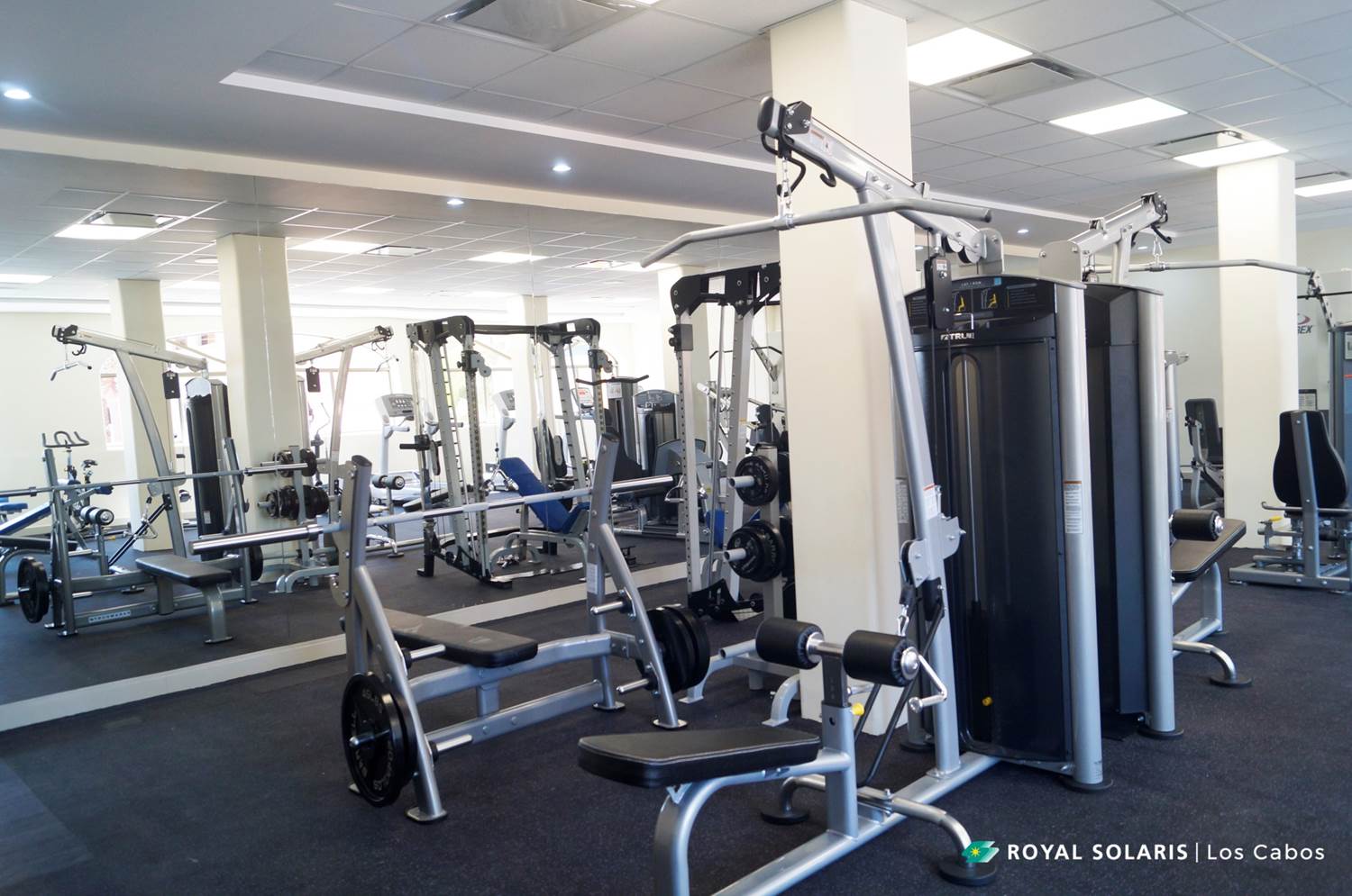 gym.jpg