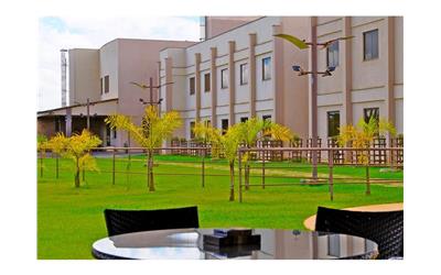 area externa verde 