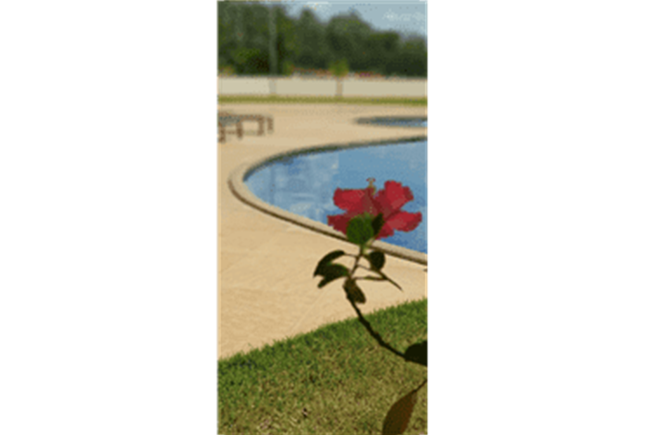 Area de lazer - Piscina