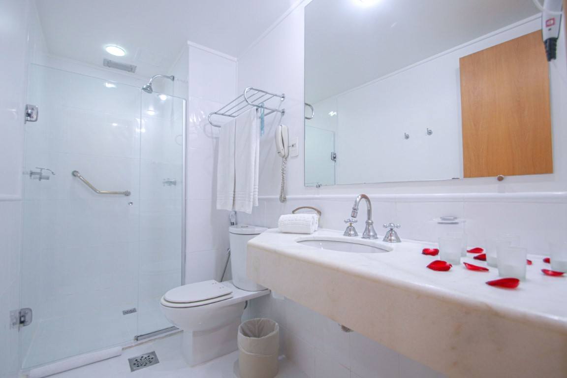 Imagem ilustrativa do hotel Belo Horizonte Plaza