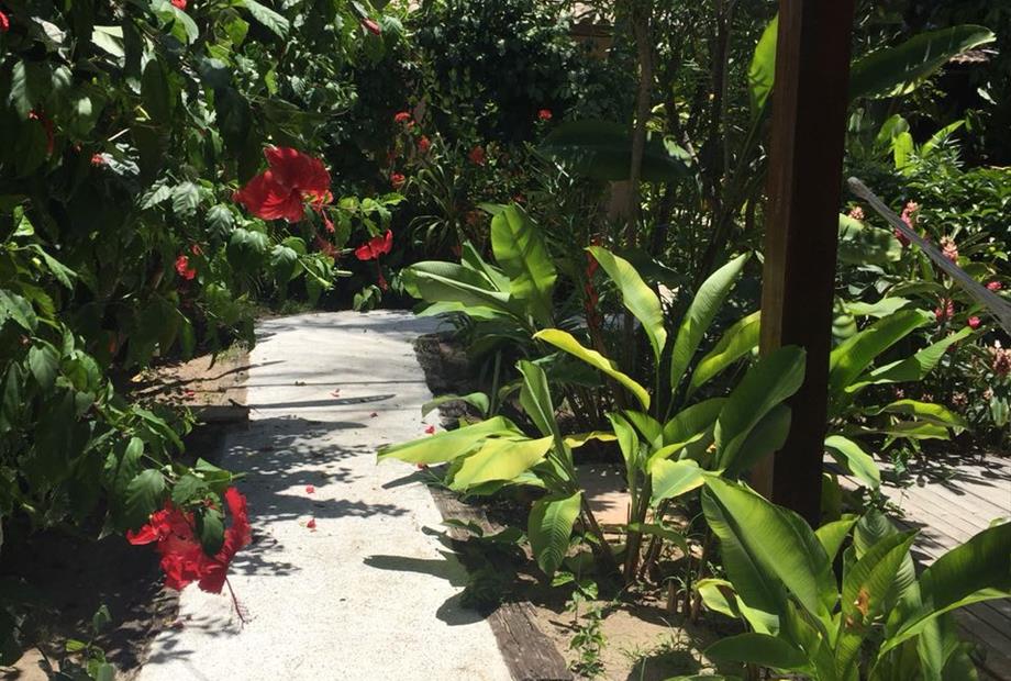 IMG-20180205-WA0048 - Cópia.jpg