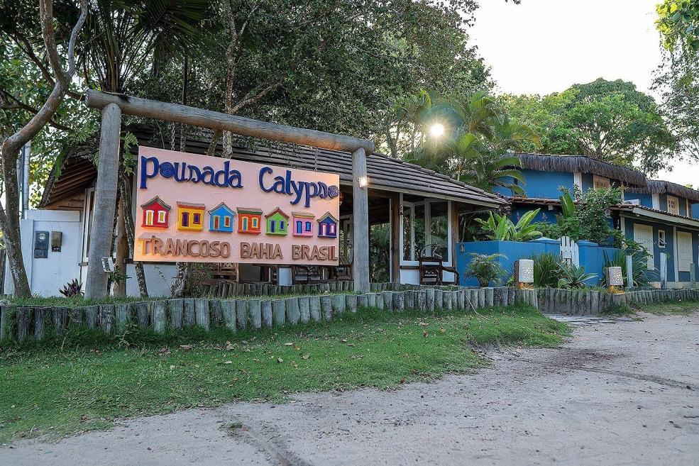 calypso 4586.jpg