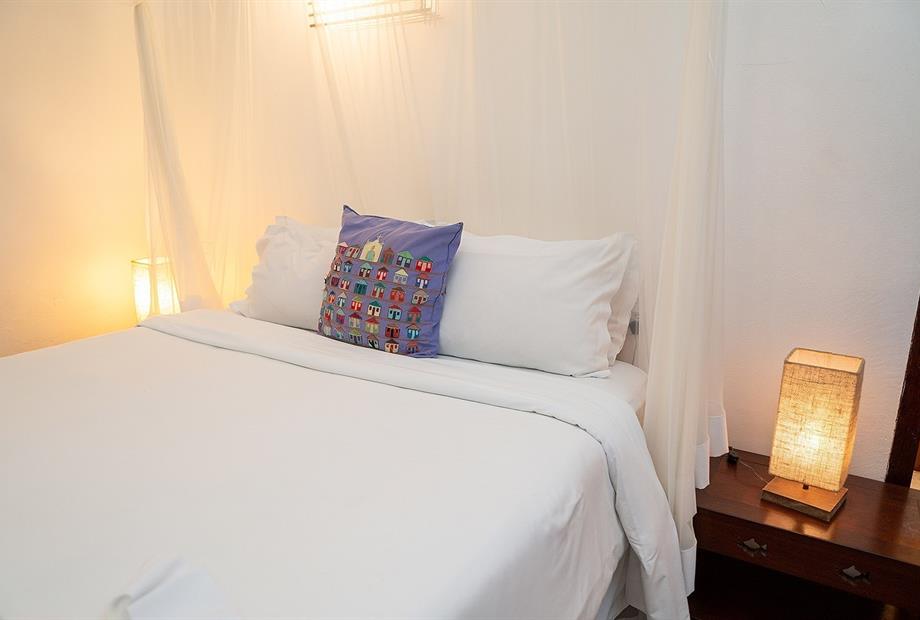 standard calypso 3733.jpg