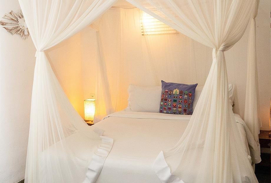 standard calypso 3718.jpg