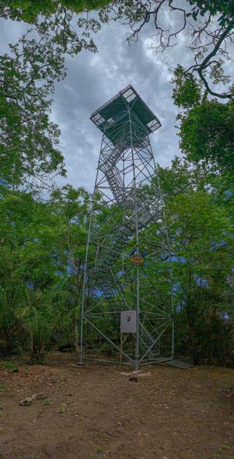 torre do bugio.jpeg