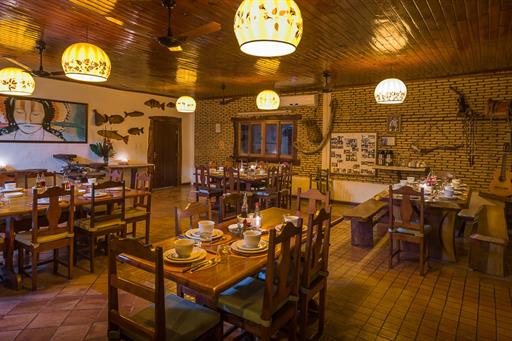 araras reduzida estoque 4-36-min.jpg