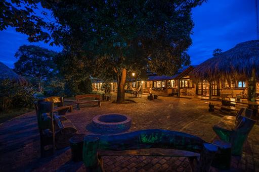 araras reduzida estoque 3-3-min.jpg