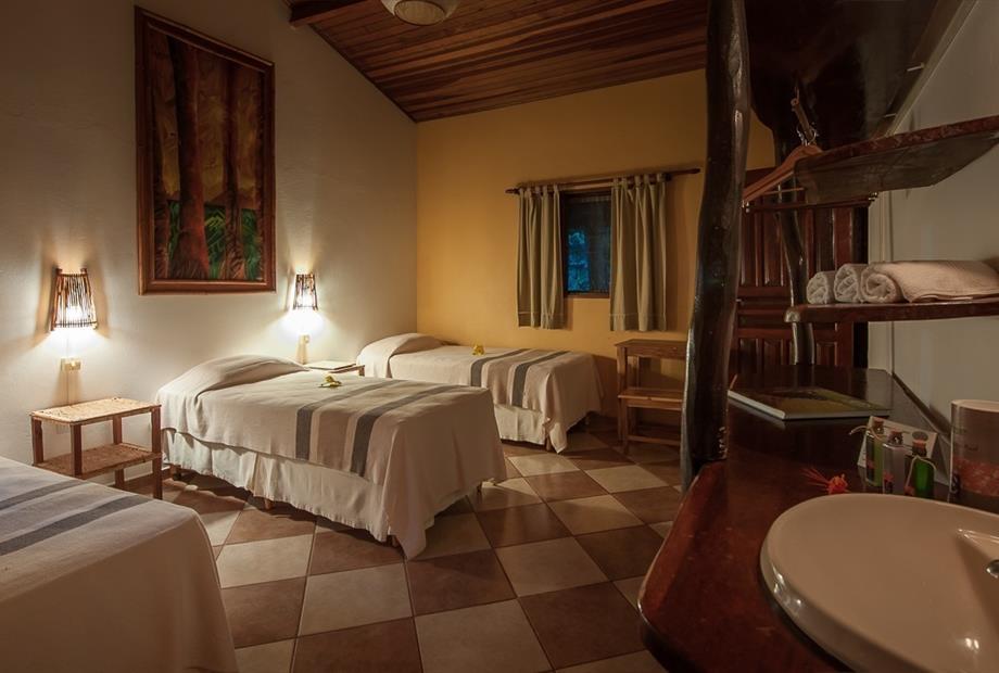 araras reduzida estoque 4-9.jpg