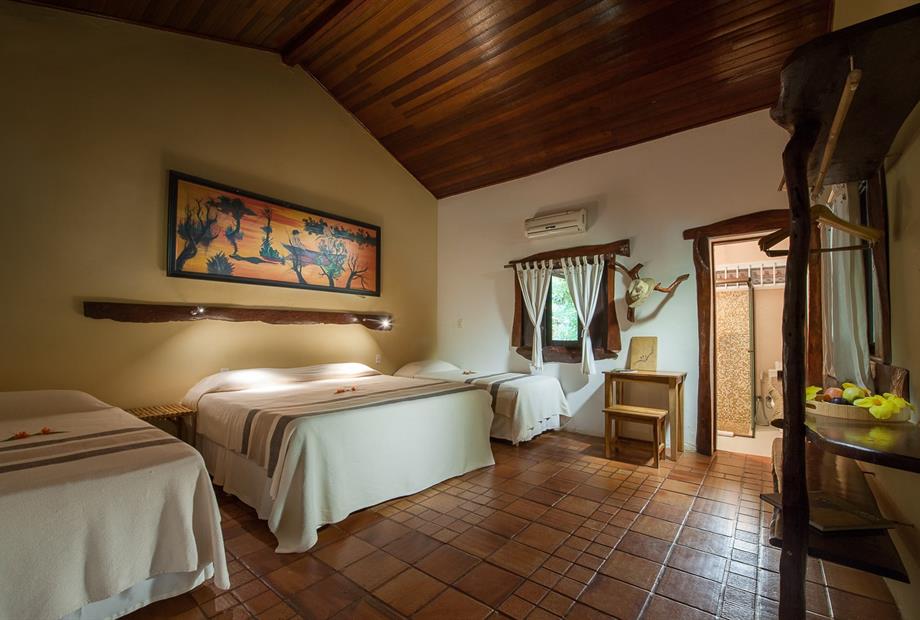 araras reduzida estoque 1-38-min.jpg