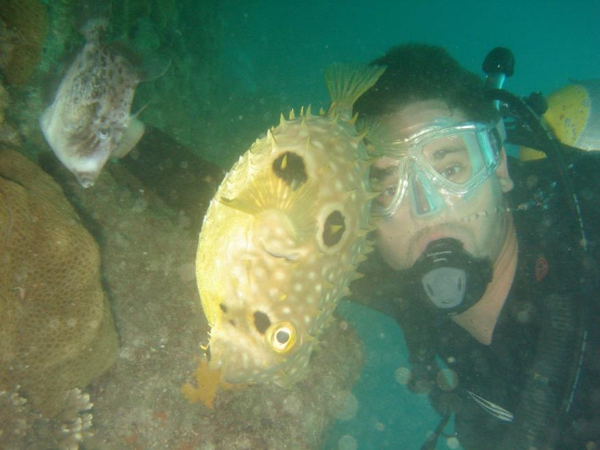 diving.jpg