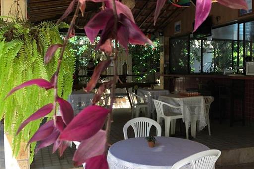 whatsapp image 2023-03-10 at 12.40.11.jpeg