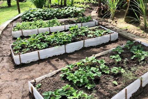 whatsapp image 2023-03-10 at 13.01.01.jpeg