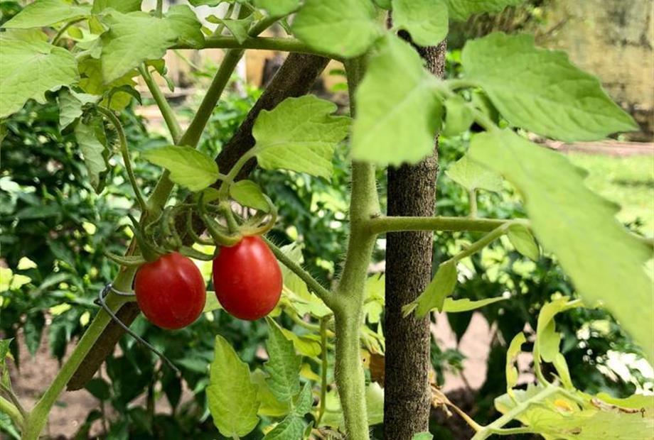 whatsapp image 2023-03-10 at 13.01.01 (2).jpeg