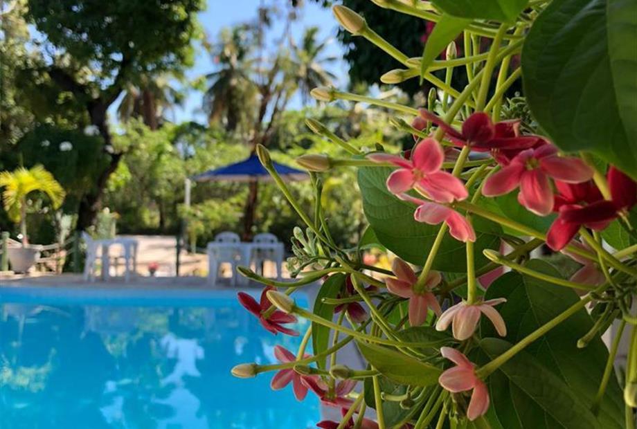 whatsapp image 2023-03-10 at 12.40.11 (5).jpeg