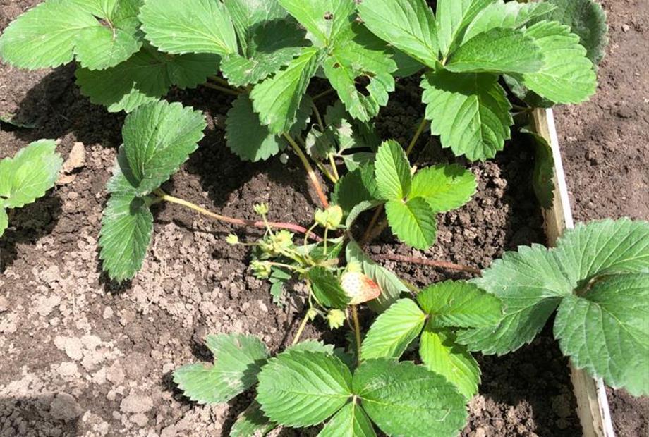 whatsapp image 2023-03-10 at 13.01.01 (1).jpeg