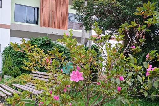 whatsapp image 2025-03-05 at 10.08.28.jpeg