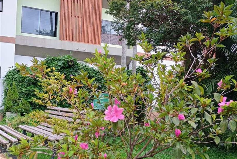 whatsapp image 2025-03-05 at 10.08.28.jpeg