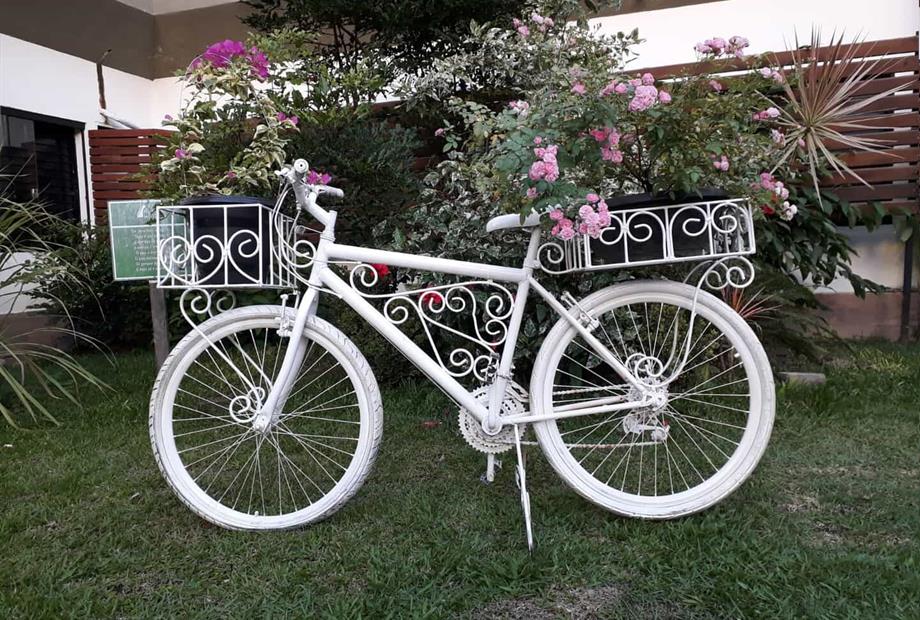 whatsapp image 2025-03-05 at 10.11.52.jpeg