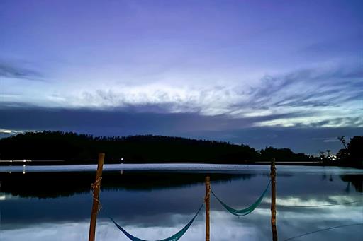 cheirodemato_14 (1).jpg