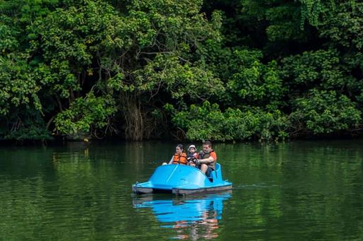 cheirodemato_16 (1).jpg