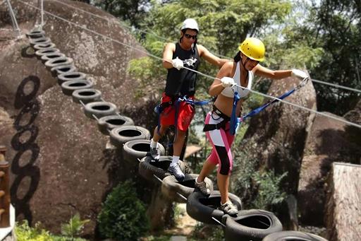 cheirodemato_19 (1).jpg