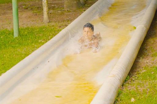 cheirodemato_20 (1).jpg