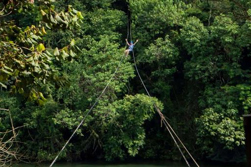 cheirodemato_22 (1).jpg