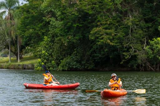 cheirodemato_25 (1).jpg