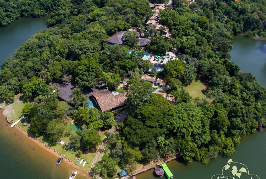 cheirodemato_1 (1).jpg