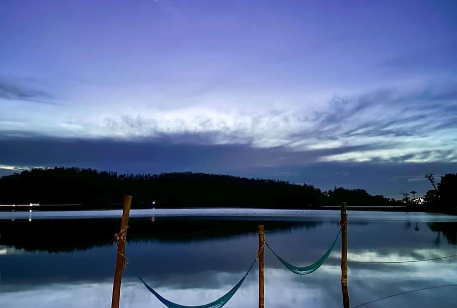 cheirodemato_14 (1).jpg