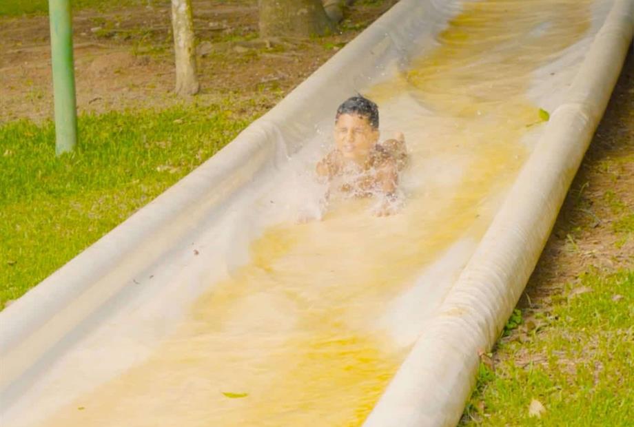 cheirodemato_20 (1).jpg