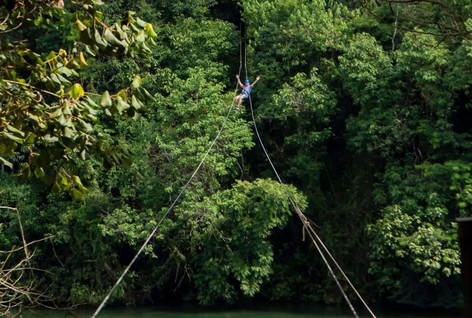 cheirodemato_22 (1).jpg