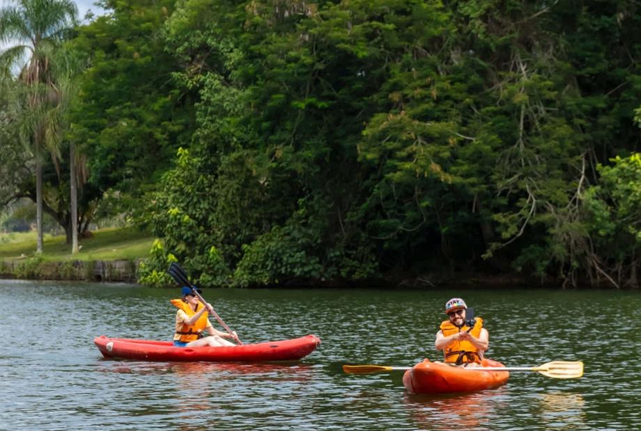 cheirodemato_25 (1).jpg