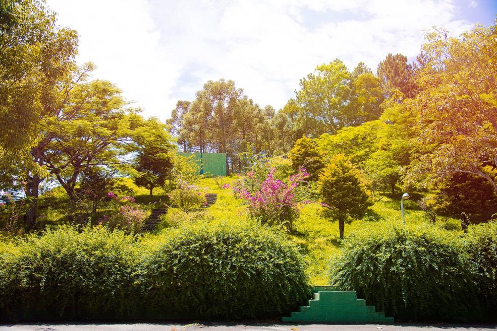 natureza.jpg