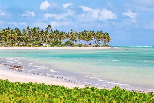 whatsapp image 2023-12-04 at 12.49.52 (1).jpeg