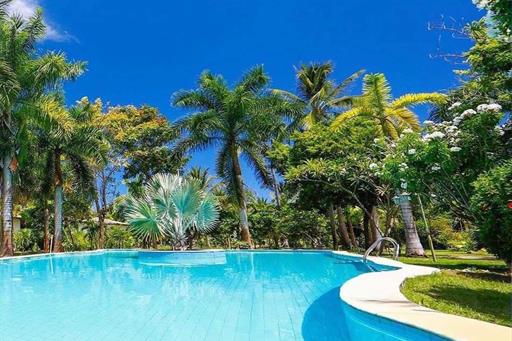 whatsapp image 2023-12-04 at 12.49.53.jpeg