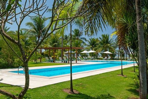 whatsapp image 2024-02-21 at 15.21.22.jpeg