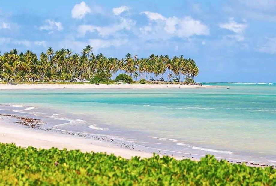 whatsapp image 2023-12-04 at 12.49.52 (1).jpeg