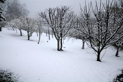 Propriedade Bangalos (105).jpg