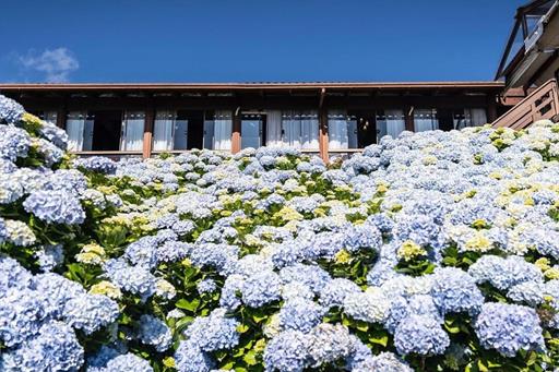 whatsapp image 2025-05-07 at 11.29.40 (4).jpeg