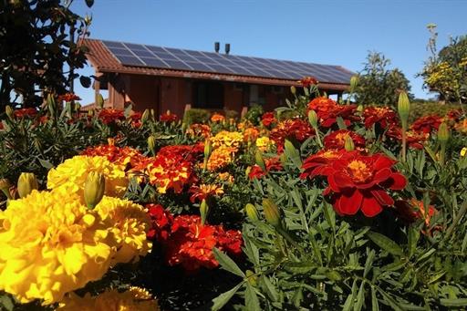 Propriedade Bangalos (30).jpg