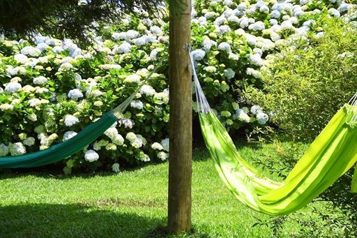 Propriedade Bangalos (79).jpg