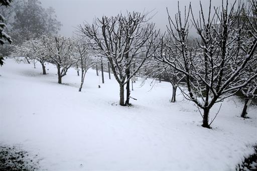 Propriedade Bangalos (105).jpg