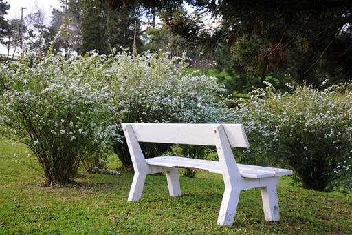 Propriedade Bangalos (110).jpg