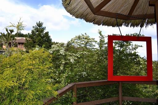 Propriedade Bangalos (138).jpg