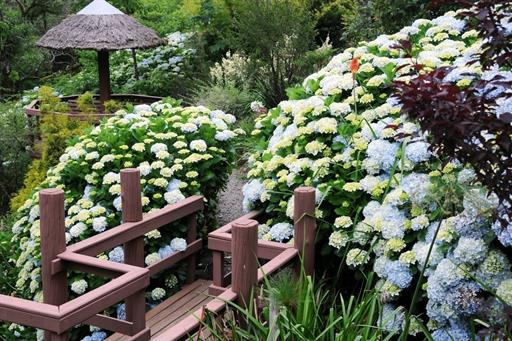 Propriedade Bangalos (140).jpg