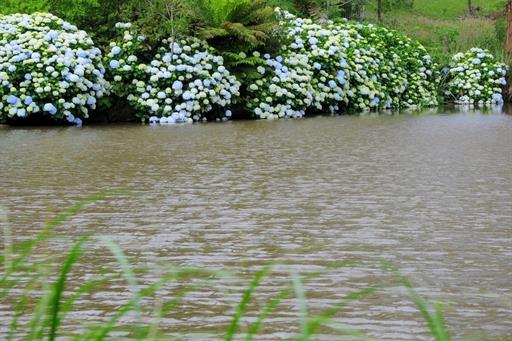 Propriedade Bangalos (142).jpg