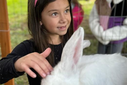 whatsapp image 2025-05-07 at 11.25.07.jpeg