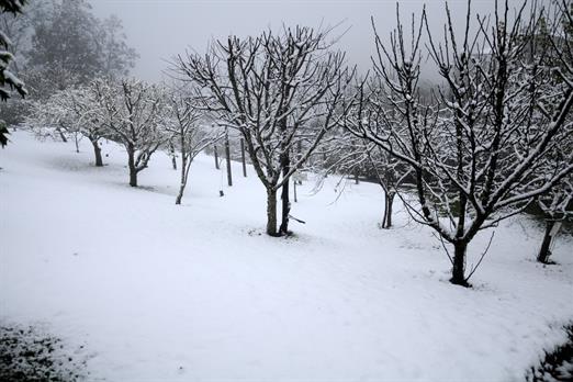 Propriedade Bangalos (105).jpg